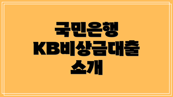 국민은행 KB비상금대출 소개