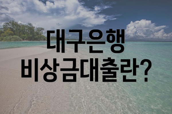 대구은행 비상금대출란?