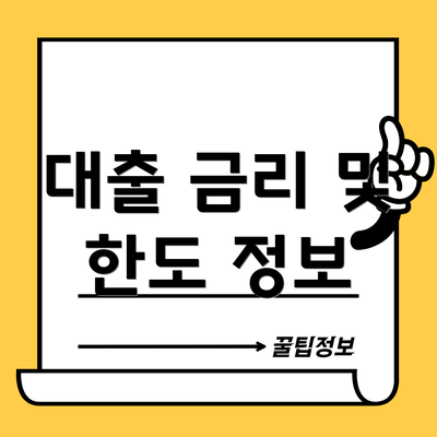대출 금리 및 한도 정보