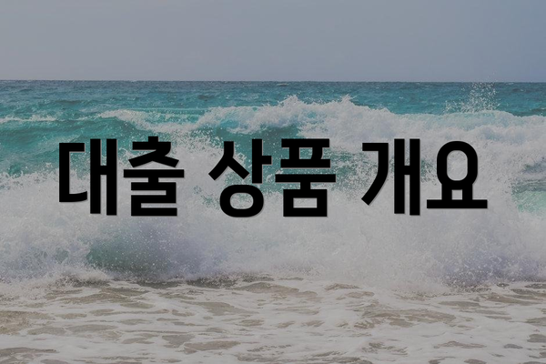 대출 상품 개요