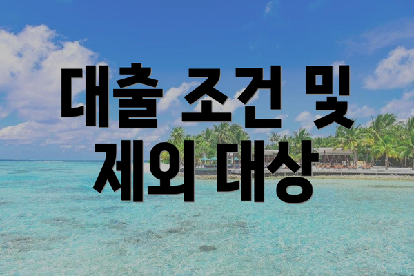 대출 조건 및 제외 대상