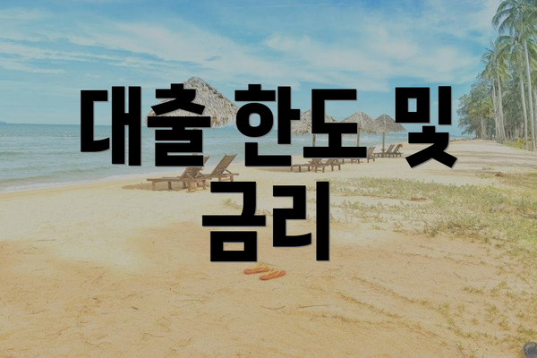 대출 한도 및 금리