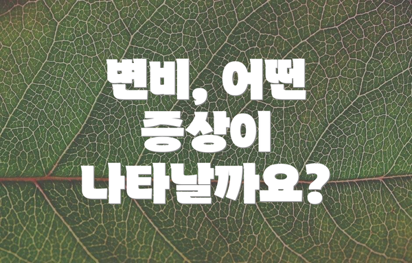 변비, 어떤 증상이 나타날까요?
