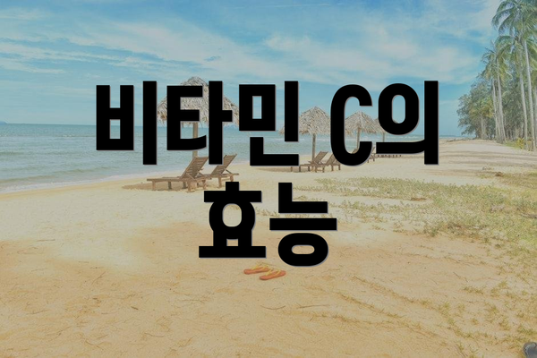 비타민 C의 효능