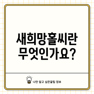새희망홀씨란 무엇인가요?