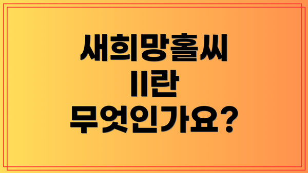 새희망홀씨 II란 무엇인가요?