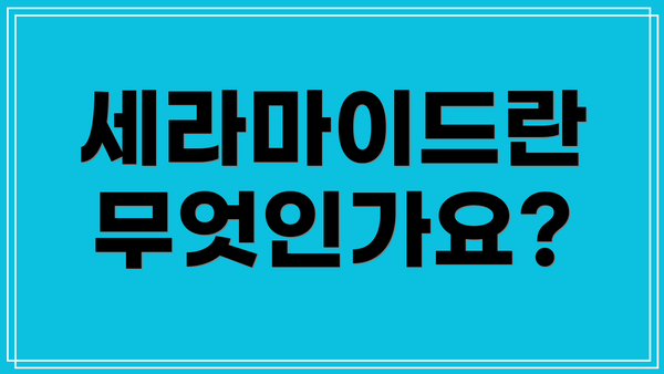 세라마이드란 무엇인가요?