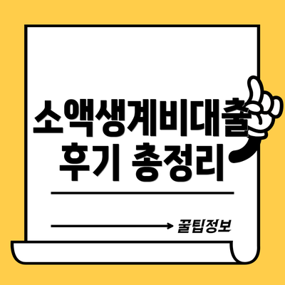 소액생계비대출 후기 총정리