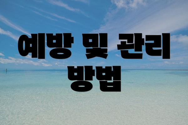 예방 및 관리 방법
