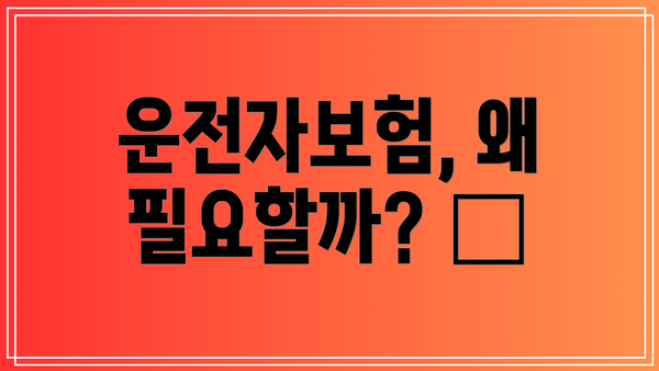 운전자보험, 왜 필요할까? 🤔