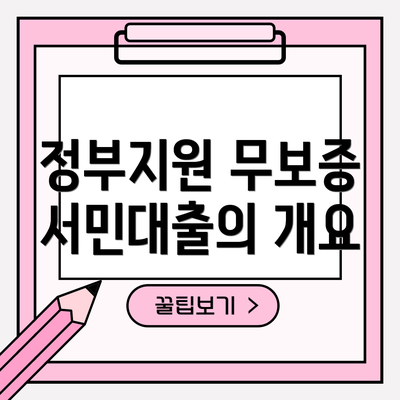 정부지원 무보증 서민대출의 개요