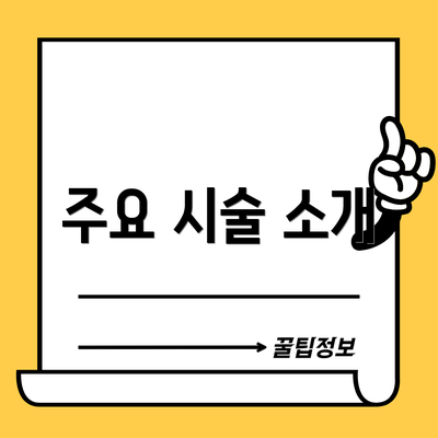 주요 시술 소개