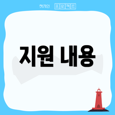 지원 내용
