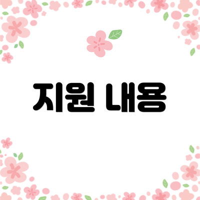 지원 내용