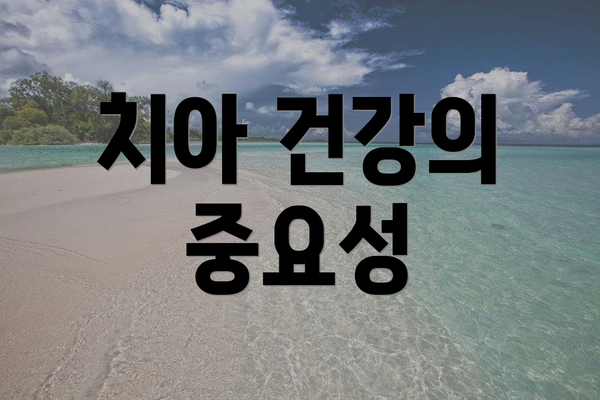 치아 건강의 중요성