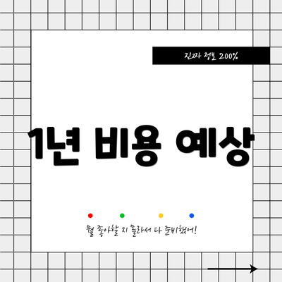 1년 비용 예상