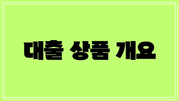 대출 상품 개요