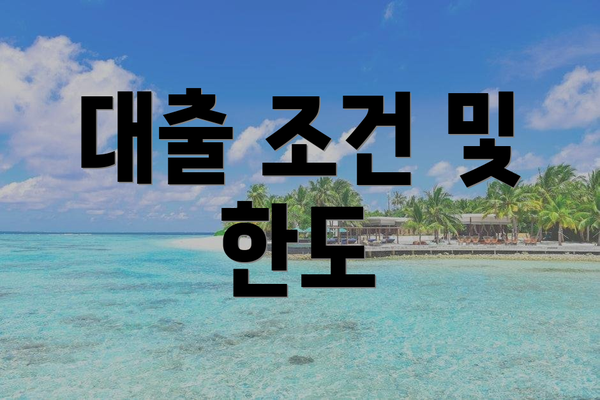 대출 조건 및 한도
