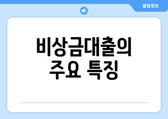 비상금대출의 주요 특징