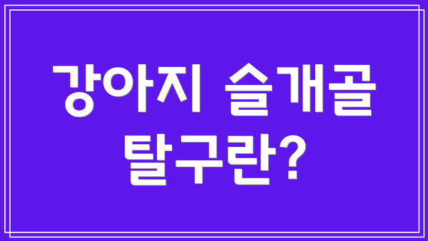 강아지 슬개골 탈구란?