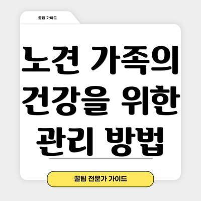 노견 가족의 건강을 위한 관리 방법