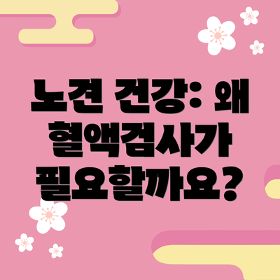 노견 건강: 왜 혈액검사가 필요할까요?