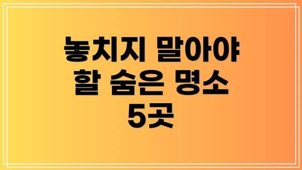 놓치지 말아야 할 숨은 명소 5곳