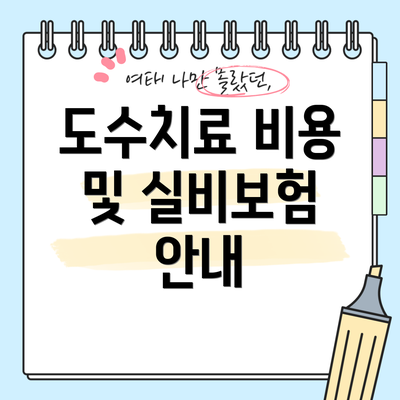 도수치료 비용 및 실비보험 안내