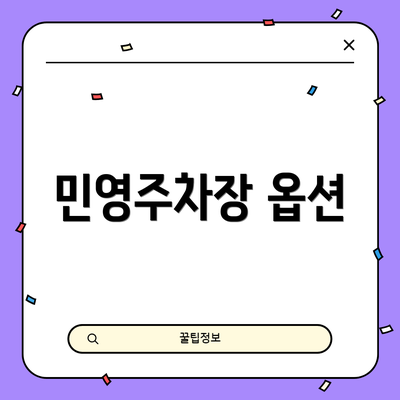민영주차장 옵션