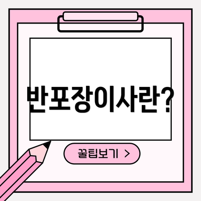반포장이사란?