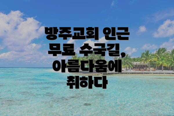 방주교회 인근 무료 수국길, 아름다움에 취하다