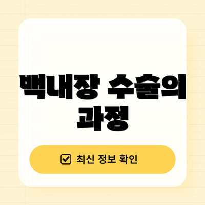 백내장 수술의 과정