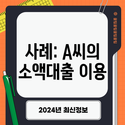 사례: A씨의 소액대출 이용