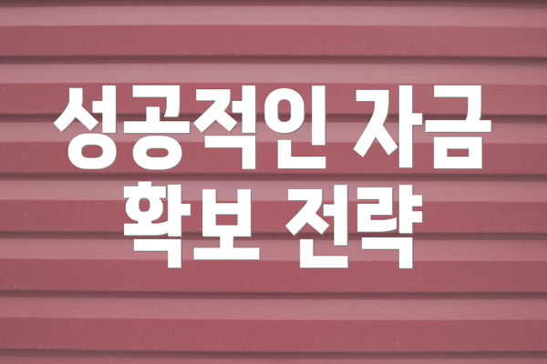 성공적인 자금 확보 전략