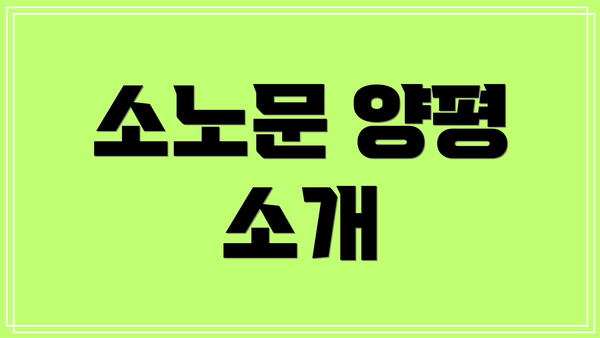 소노문 양평 소개