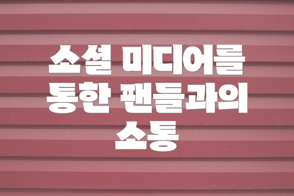 소셜 미디어를 통한 팬들과의 소통