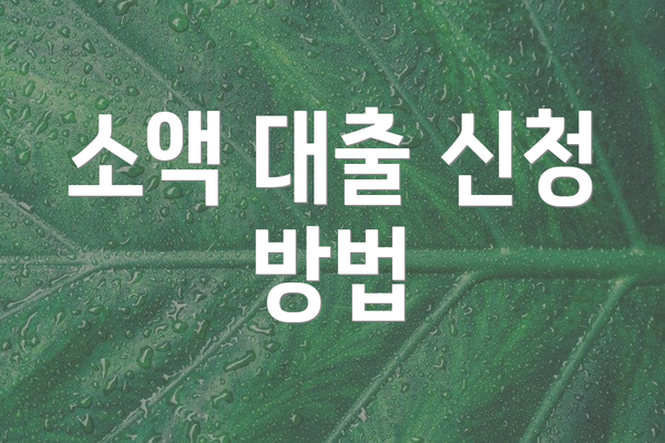 소액 대출 신청 방법