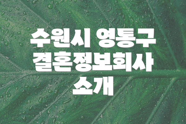 수원시 영통구 결혼정보회사 소개