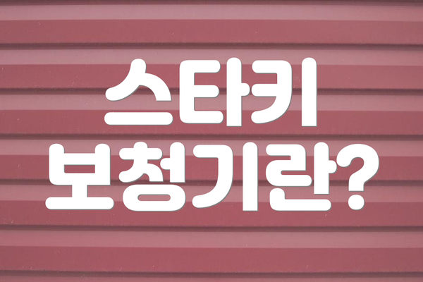 스타키 보청기란?