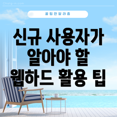 신규 사용자가 알아야 할 웹하드 활용 팁