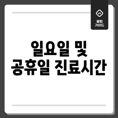 일요일 및 공휴일 진료시간
