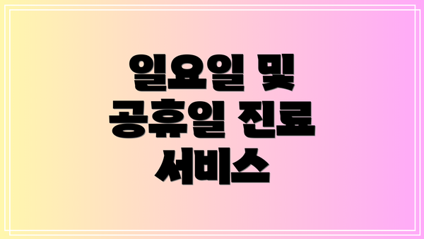 일요일 및 공휴일 진료 서비스