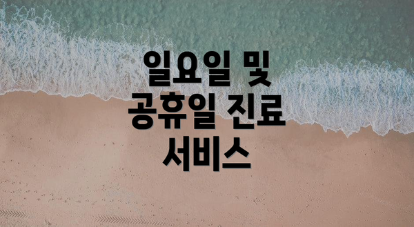 일요일 및 공휴일 진료 서비스