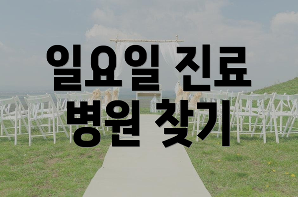 일요일 진료 병원 찾기