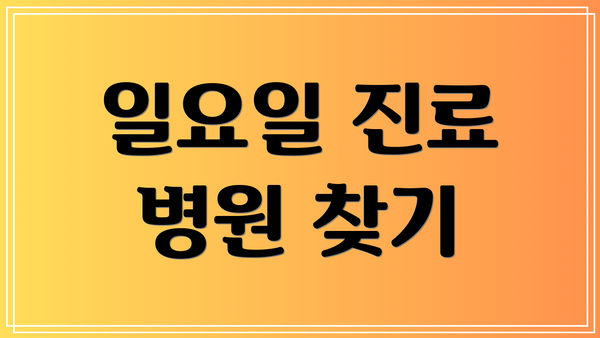 일요일 진료 병원 찾기