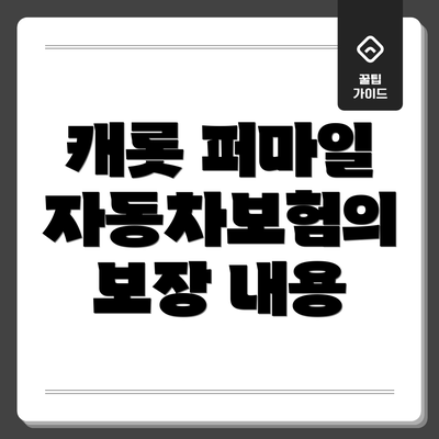 캐롯 퍼마일 자동차보험의 보장 내용