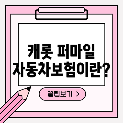 캐롯 퍼마일 자동차보험이란?