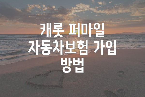 캐롯 퍼마일 자동차보험 가입 방법