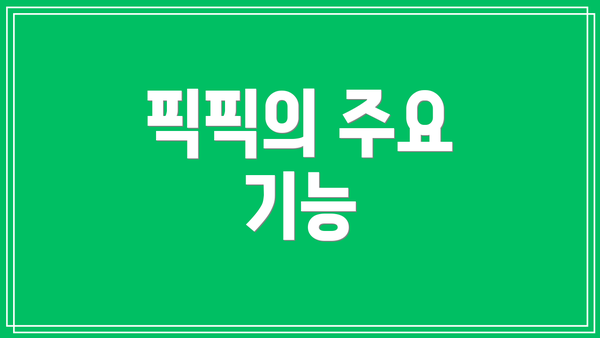 픽픽의 주요 기능