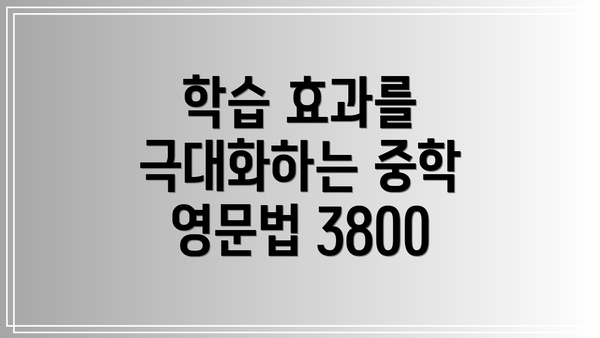 학습 효과를 극대화하는 중학 영문법 3800